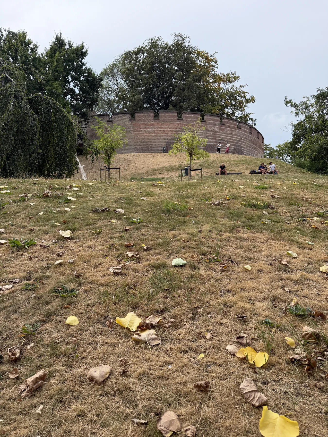 The ring wall of De Burcht above the grassy artificial mound in Leiden