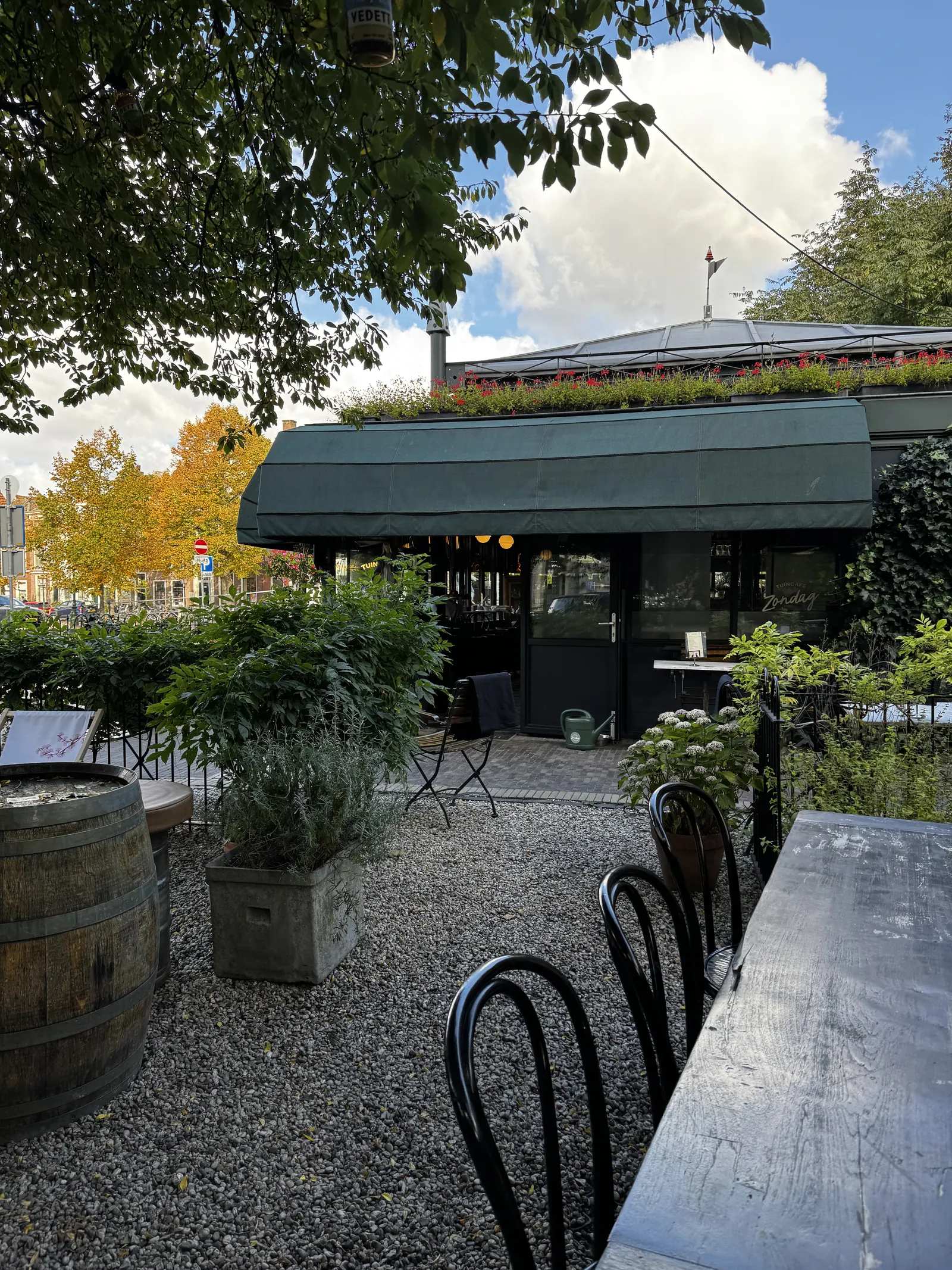 Leafy terrace with chairs in front of a café in Leiden
